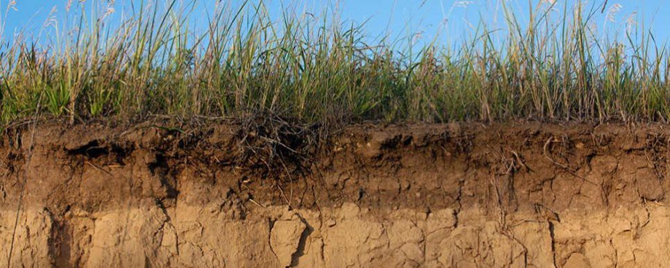 Understanding Soil & Their Layers