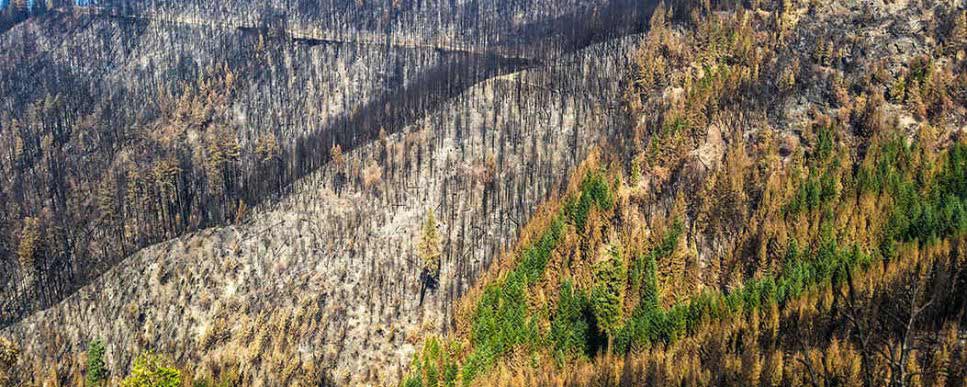 Post Fire Erosion & How to Manage It