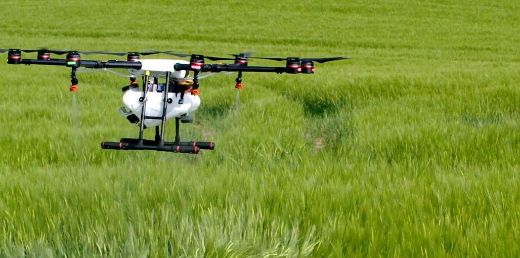 Drone Spraying Over Vegetation