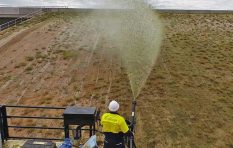 Soil Stabilisation Hydroseeding Batter